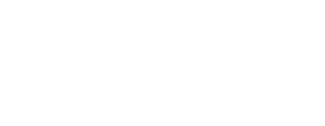 Friendo POCKET logo